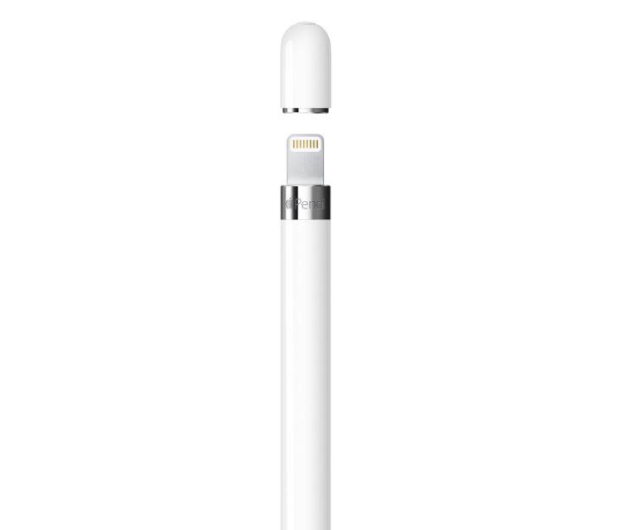 Apple Rysik Apple Pencil telefonów i tabletów - 1384205 - zdjęcie 2